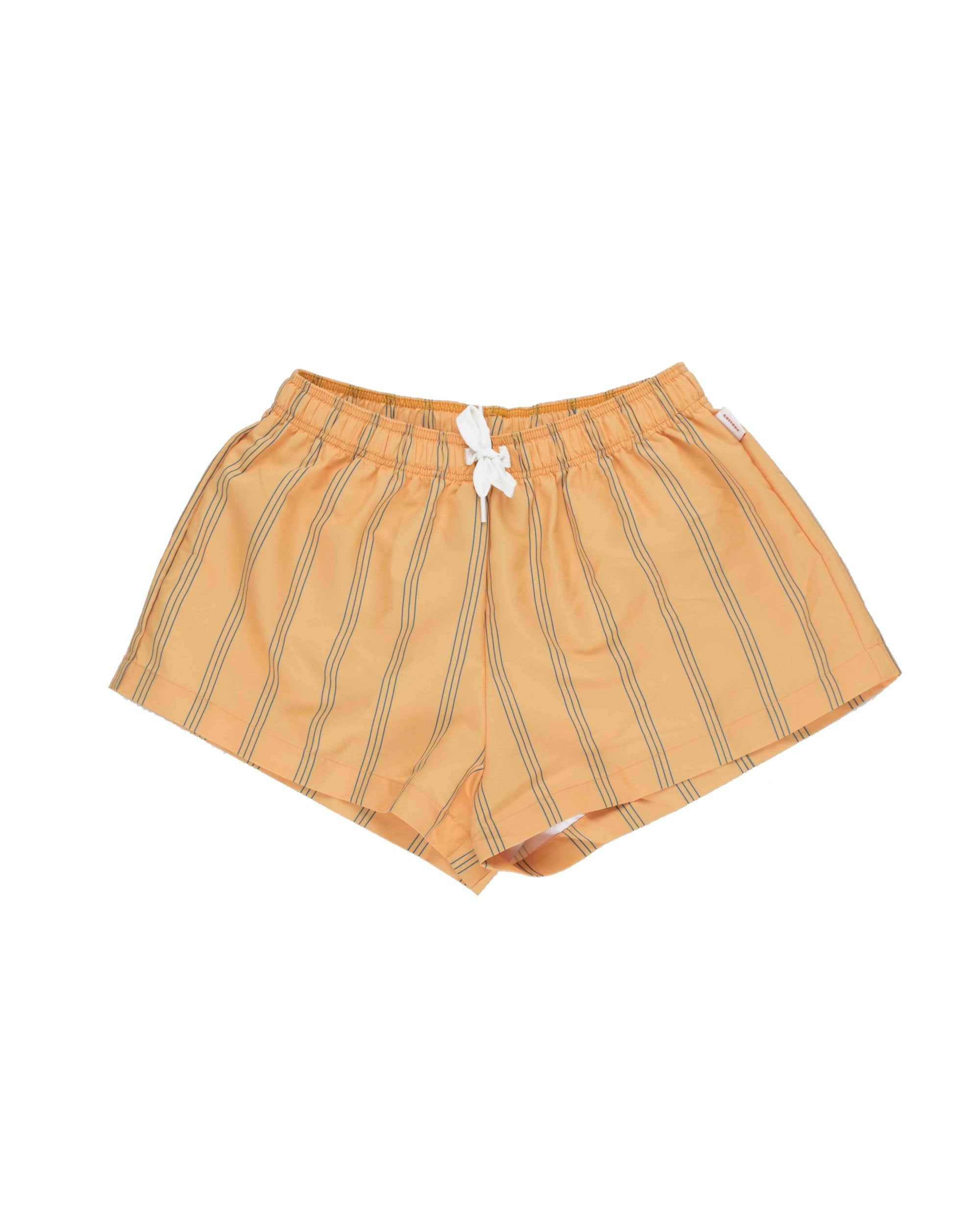 Stripes Swim Trunks